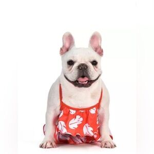 Red and White Dog Dress